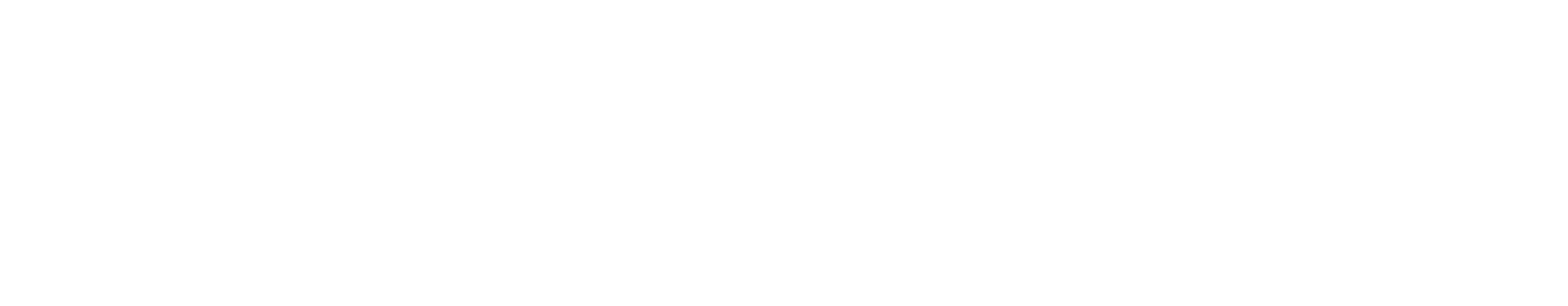 SG Logo 11 2017-weiss